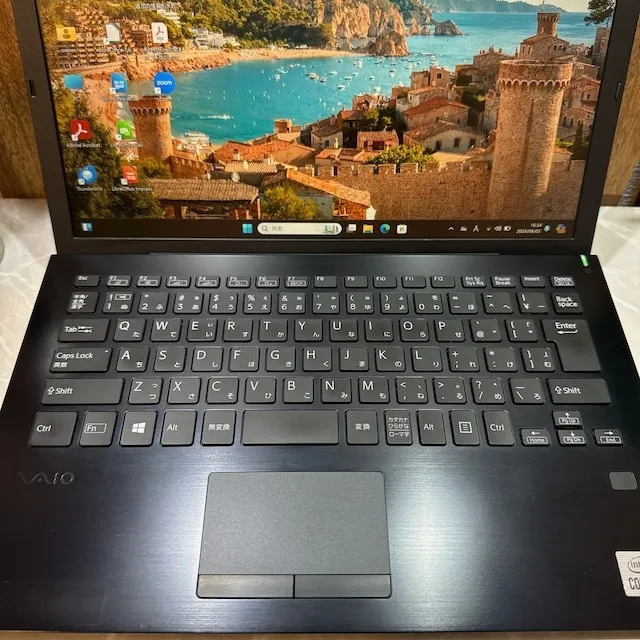 VAIO Pro PG ☘️メモリ8GB /i5第10世代☘️SSD256GB【VKHRC2405053】